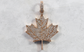 14k Rose Gold Diamond Maple Leaf Pendant, 16.8g