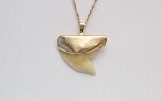 14k Yellow Gold Shark Tooth Pendant, 4.0g