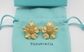 Tiffany & Co. 18k Yellow Gold Dogwood Textured Flower Clip On Earrings, 17.8g