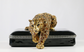 Jay Strongwater Leopard Trinket Box, Signed 2003