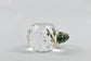 Swarovski Seasons Greeting Ornament