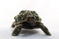 Jay Strongwater Large Turtle Trinket Box with Swarovski Crystals