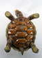 Jay Strongwater Large Turtle Trinket Box with Swarovski Crystals
