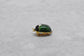 18k Yellow Gold Green & Blue Enamel Beetle Bug Pin, 5.4g